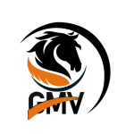 Logotipo de Escuela de Conducción no Profesional GMV
